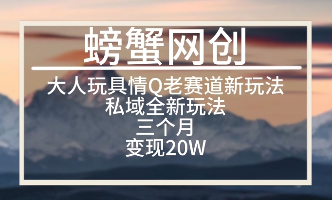 大人玩具情Q用品赛道私域全新玩法，三个月变现20W，老项目新思路-九零网创