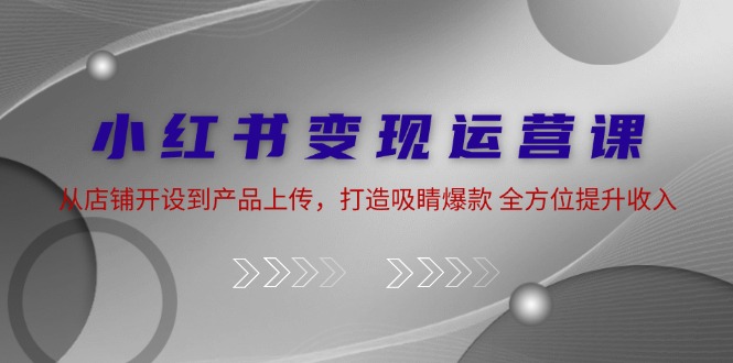 （12520期）小红书变现运营课：从店铺开设到产品上传，打造吸睛爆款 全方位提升收入-九零网创