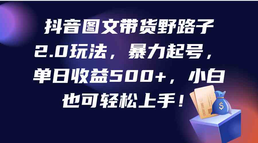 （9790期）抖音图文带货野路子2.0玩法，暴力起号，单日收益500+，小白也可轻松上手！-九零网创