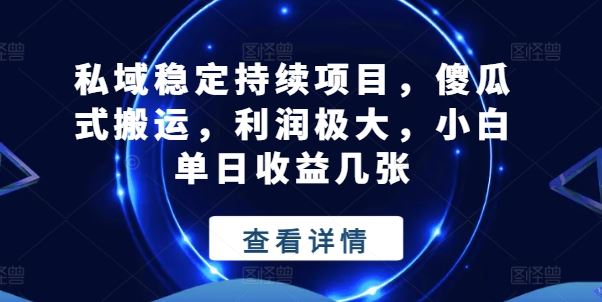 私域稳定持续项目，傻瓜式搬运，利润极大，小白单日收益几张【揭秘】-九零网创