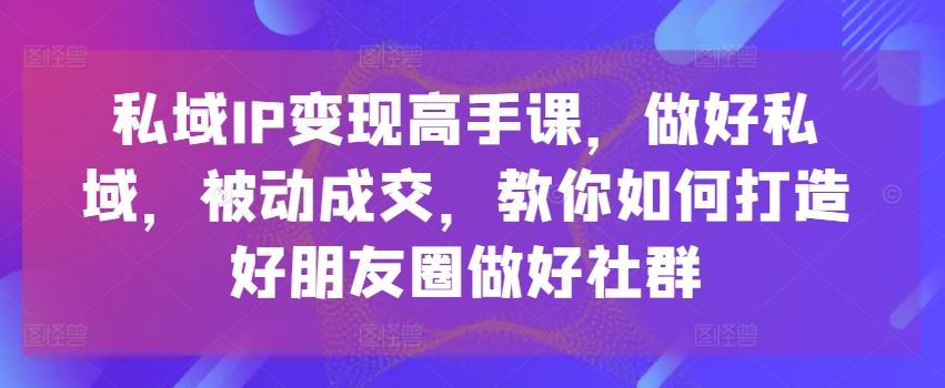 私域IP变现高手课，做好私域，被动成交，教你如何打造好朋友圈做好社群-九零网创