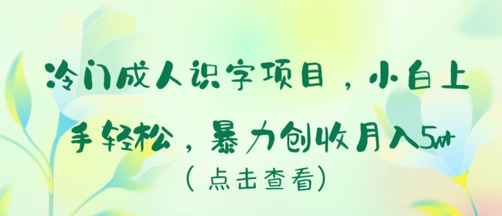 冷门成人识字项目，小白上手轻松，暴力创收月入5w+-九零网创