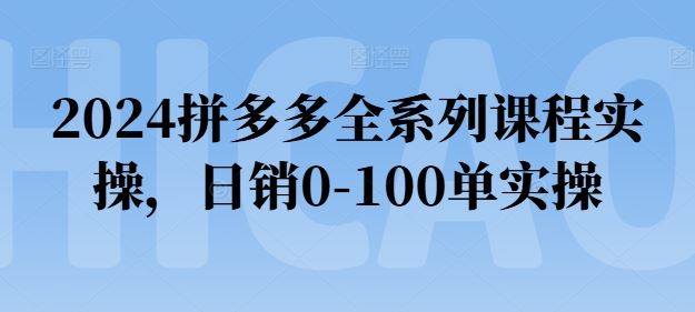 2024拼多多全系列课程实操，日销0-100单实操【必看】-九零网创