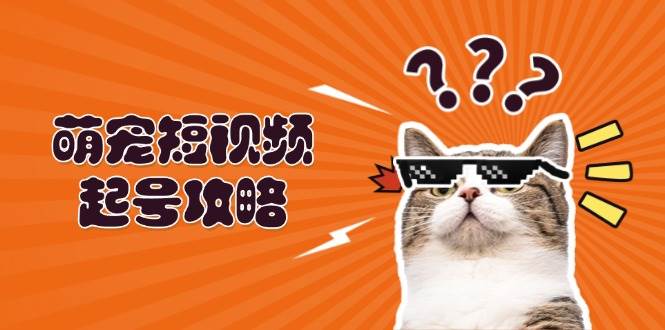 （13135期）萌宠-短视频起号攻略：定位搭建推流全解析，助力新手轻松打造爆款-九零网创