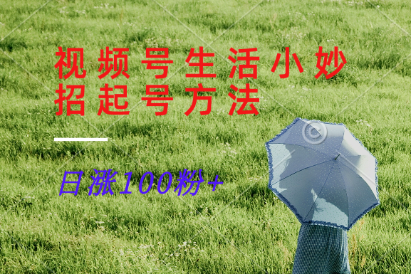 视频号生活小妙招分享赛道， 起号涨粉新方法，日涨100粉-九零网创