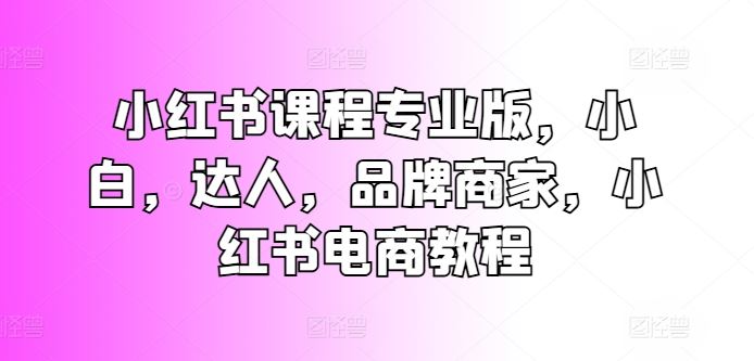 小红书课程专业版，小白，达人，品牌商家，小红书电商教程-九零网创