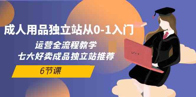 成人用品独立站从0-1入门，运营全流程教学，七大好卖成品独立站推荐（6节课）-九零网创