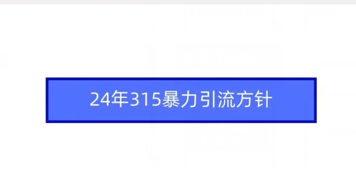 24年315暴力引流方针-九零网创