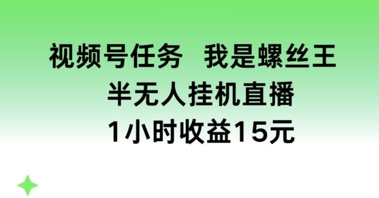 视频号任务，我是螺丝王， 半无人挂机1小时收益15元【揭秘】-九零网创