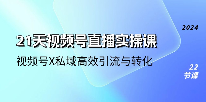 21天视频号直播实操课，视频号X私域高效引流与转化（22节课）-九零网创