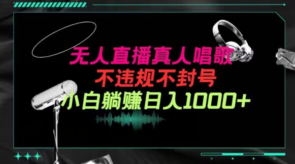 抖音24小时无人直播音乐，不违规，不封号纯撸音浪，小白实操当天日入1000+-九零网创