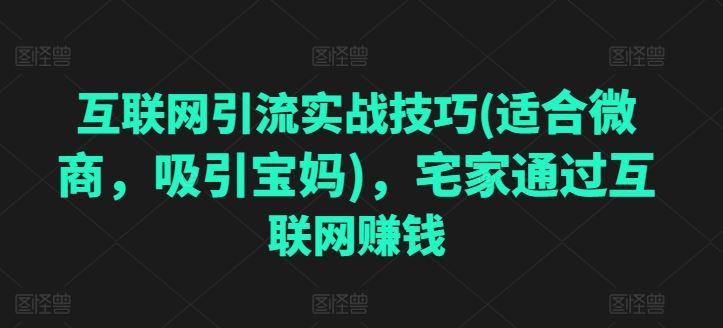 互联网引流实战技巧(适合微商，吸引宝妈)，宅家通过互联网赚钱-九零网创