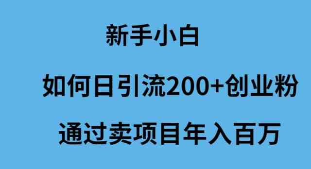 （9668期）新手小白如何日引流200+创业粉通过卖项目年入百万-九零网创