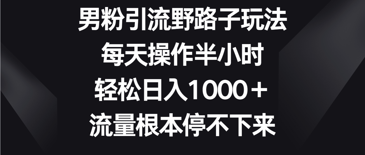 男粉引流野路子玩法，每天操作半小时轻松日入1000＋，流量根本停不下来-九零网创