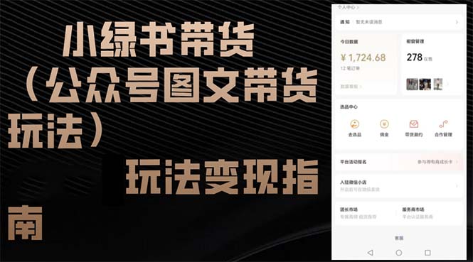 （12902期）小绿书带货（公众号图文带货玩法）玩法变现指南-九零网创