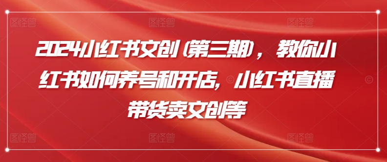 2024小红书文创(第三期)，教你小红书如何养号和开店，小红书直播带货卖文创等-九零网创