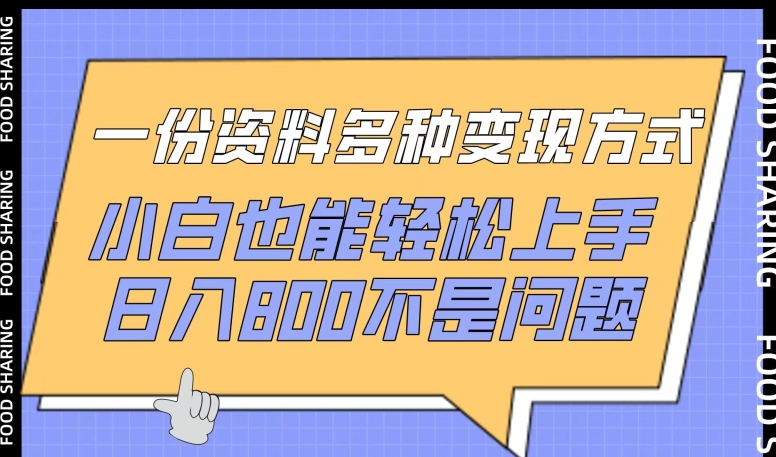 一份资料多种变现方式，小白也能轻松上手，日入800不是问题-九零网创