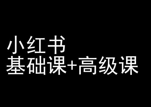 小红书基础课+高级课-小红书运营教程-九零网创