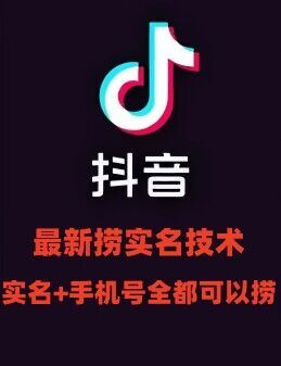 最新技术抖音捞实名+捞手机号技术，抖音直播封禁释放十名/手机号，直接替换出来!-九零网创