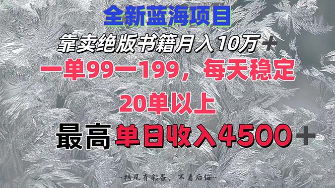 （12512期）靠卖绝版书籍月入10W+,一单99-199，一天平均20单以上，最高收益日入4500+-九零网创