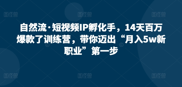 自然流·短视频IP孵化手，14天百万爆款了训练营，带你迈出“月入5w新职业”第一步-九零网创