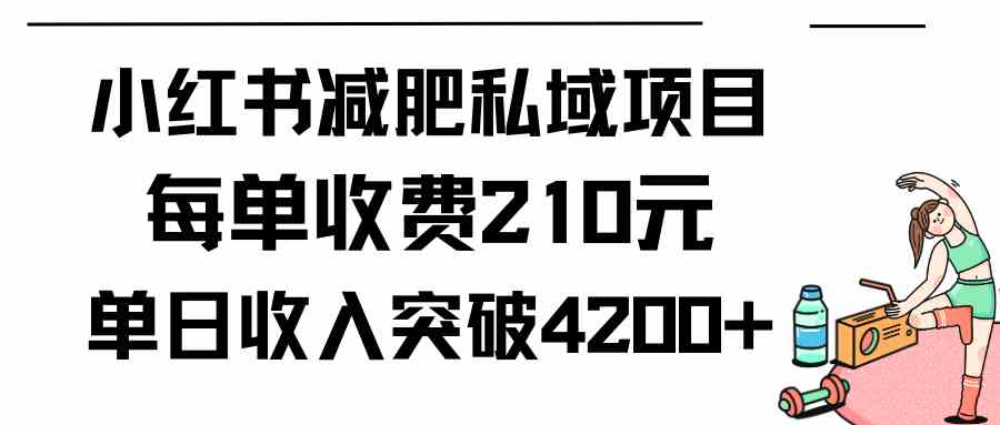 （9466期）小红书减肥私域项目每单收费210元单日成交20单，最高日入4200+-九零网创