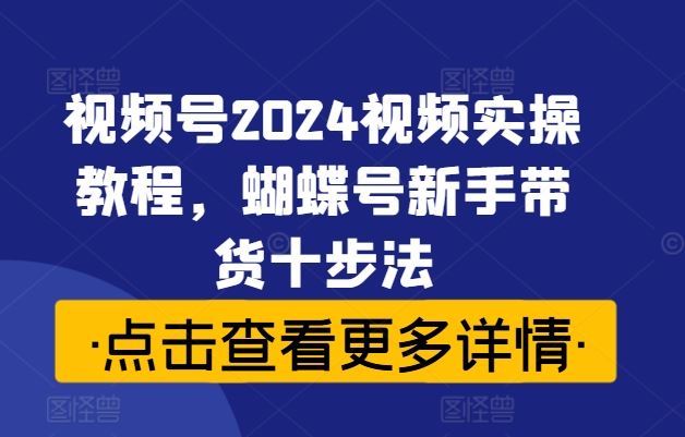 视频号2024视频实操教程，蝴蝶号新手带货十步法-九零网创