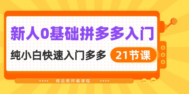 新人0基础拼多多入门，纯小白快速入门多多（21节课）-九零网创