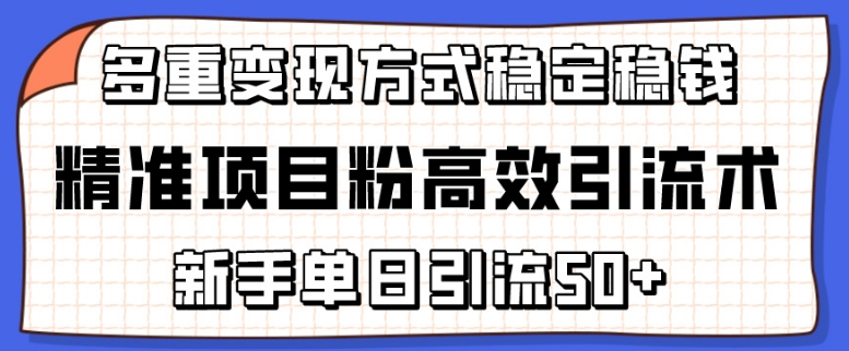 精准项目粉高效引流术，新手单日引流50+，多重变现方式稳定赚钱-九零网创