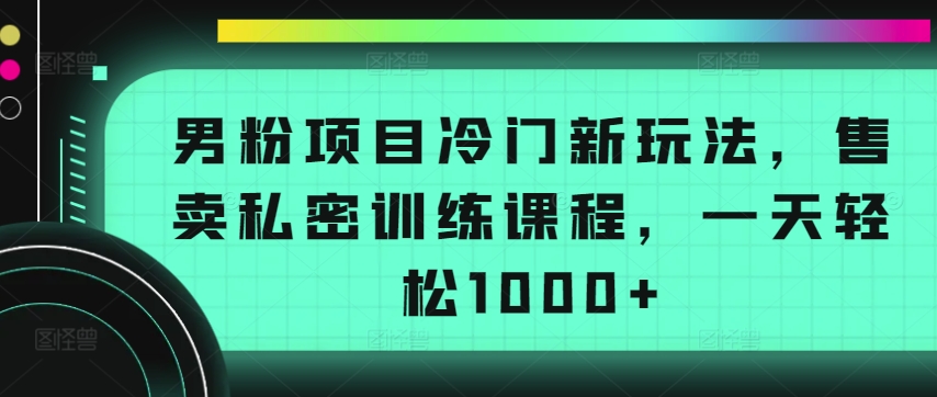 男粉项目冷门新玩法，售卖私密训练课程，一天轻松1000+-九零网创
