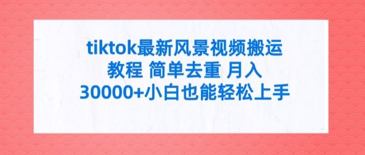 tiktok最新风景视频搬运教程 简单去重 月入3W+小白也能轻松上手【揭秘】-九零网创