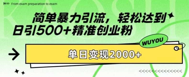 简单暴力引流，轻松达到日引500+精准创业粉，单日变现2k【揭秘】-九零网创