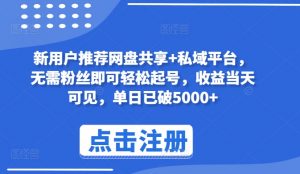新用户推荐网盘共享+私域平台，无需粉丝即可轻松起号，收益当天可见，单日已破5000+【揭秘】-九零网创
