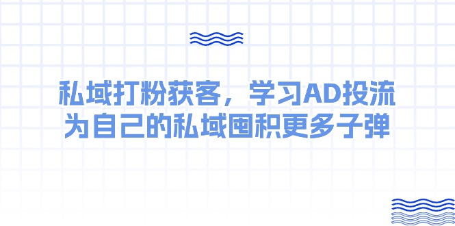 （10728期）某收费课：私域打粉获客，学习AD投流，为自己的私域囤积更多子弹-九零网创