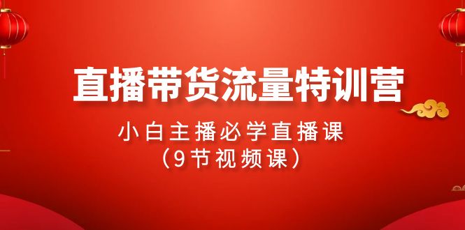 2024直播带货流量特训营，小白主播必学直播课（9节视频课）-九零网创