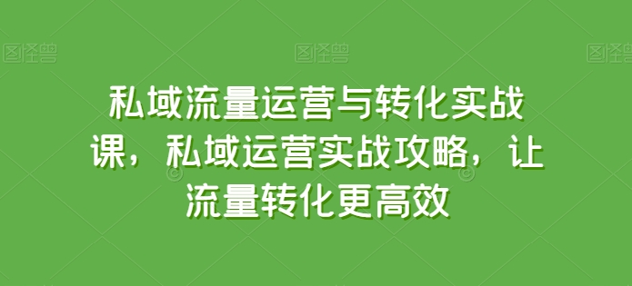 私域流量运营与转化实战课，私域运营实战攻略，让流量转化更高效-九零网创