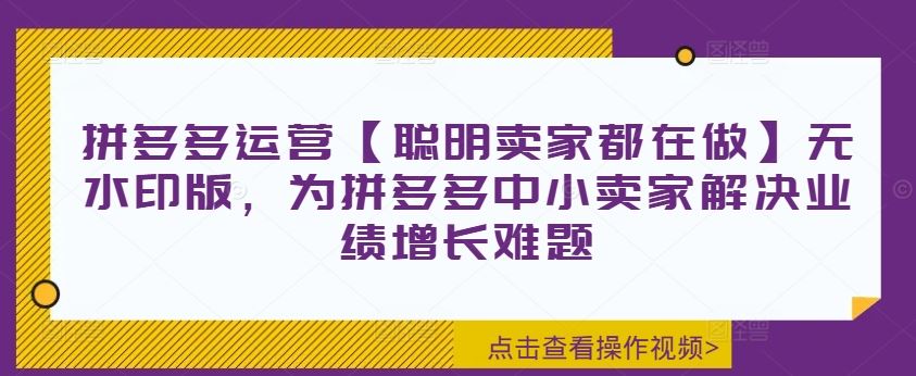 拼多多运营【聪明卖家都在做】无水印版，为拼多多中小卖家解决业绩增长难题-九零网创