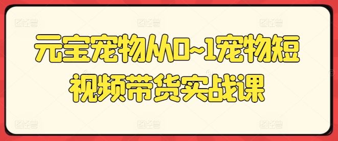 元宝宠物从0~1宠物短视频带货实战课-九零网创