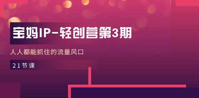 （11042期）宝妈IP-轻创营第3期，人人都能抓住的流量风口（21节课）-九零网创