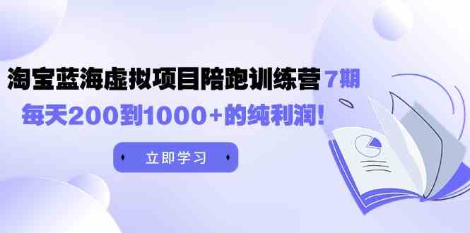 （9541期）黄岛主《淘宝蓝海虚拟项目陪跑训练营7期》每天200到1000+的纯利润-九零网创