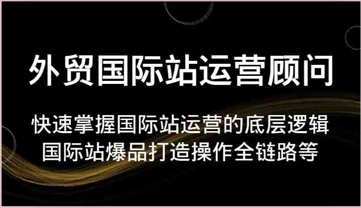 外贸国际站运营顾问-快速掌握国际站运营的底层逻辑，国际站爆品打造操作全链路等-九零网创