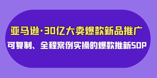 亚马逊30亿大卖爆款新品推广，可复制、全程案例实操的爆款推新SOP-九零网创
