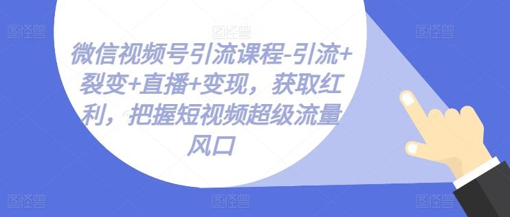 微信视频号引流课程-引流+裂变+直播+变现，获取红利，把握短视频超级流量风口-九零网创