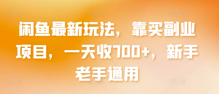 闲鱼最新玩法，靠买副业项目，一天收700+，新手老手通用-九零网创