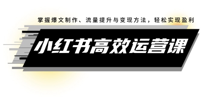 （12369期）小红书高效运营课：掌握爆文制作、流量提升与变现方法，轻松实现盈利-九零网创