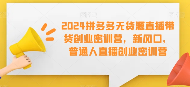2024拼多多无货源直播带货创业密训营，新风口，普通人直播创业密训营-九零网创
