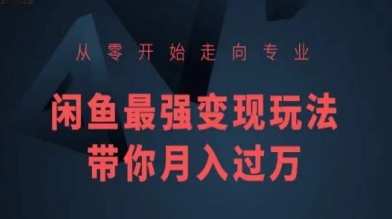 从零开始走向专业，闲鱼最强变现玩法带你月入过万-九零网创