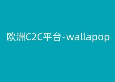 欧洲C2C平台-wallapop-kim跨境电商教程-九零网创