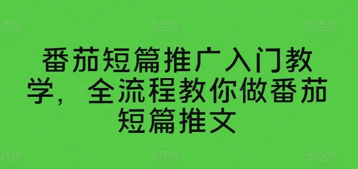 番茄短篇推广入门教学，全流程教你做番茄短篇推文-九零网创