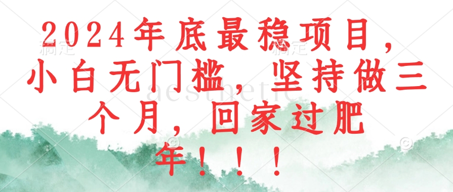 （12970期）2024年底最稳项目，小白无门槛，坚持做三个月，回家过肥年！！！-九零网创